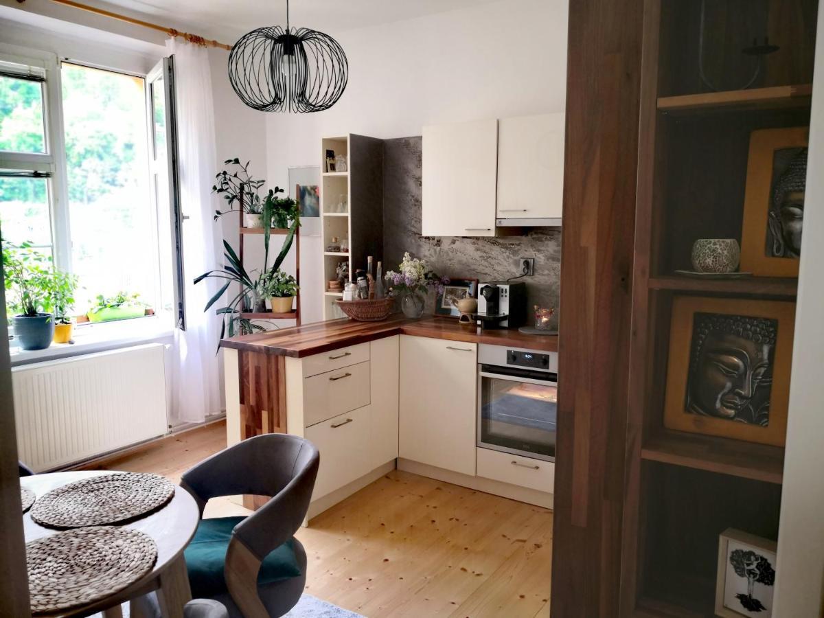 Apartmany Ivana Decin Exteriör bild